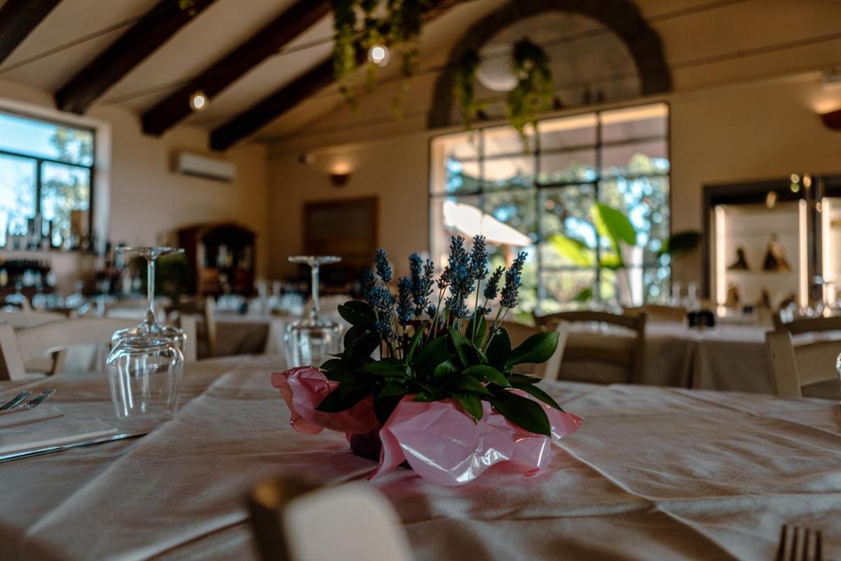 Agriturismo Cerrosughero 카니노 외부 사진