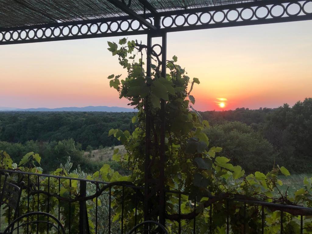 Agriturismo Cerrosughero 카니노 외부 사진