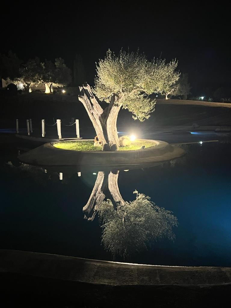 Agriturismo Cerrosughero 카니노 외부 사진